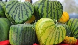 网络大瓜,揭秘娱乐圈幕后真相，带你走进明星隐私世界